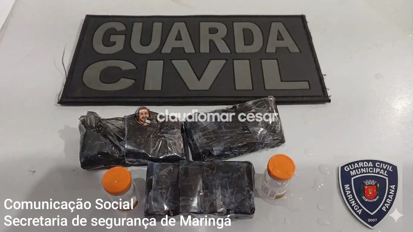 GCM apreende medicamentos irregulares avaliados em mais de R$ 21 mil no Jardim Itália, em Maringá