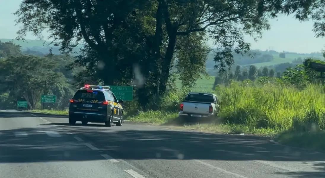 PRF apreende mais de 470 quilos de skunk em Maringá