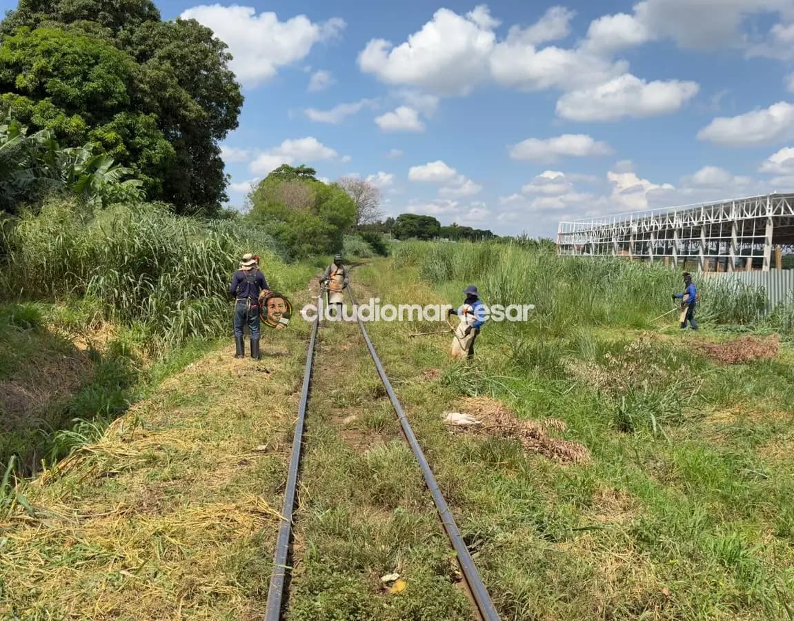 Prefeitura determina roçada urgente na linha férrea e reforça cobrança contra concessionária