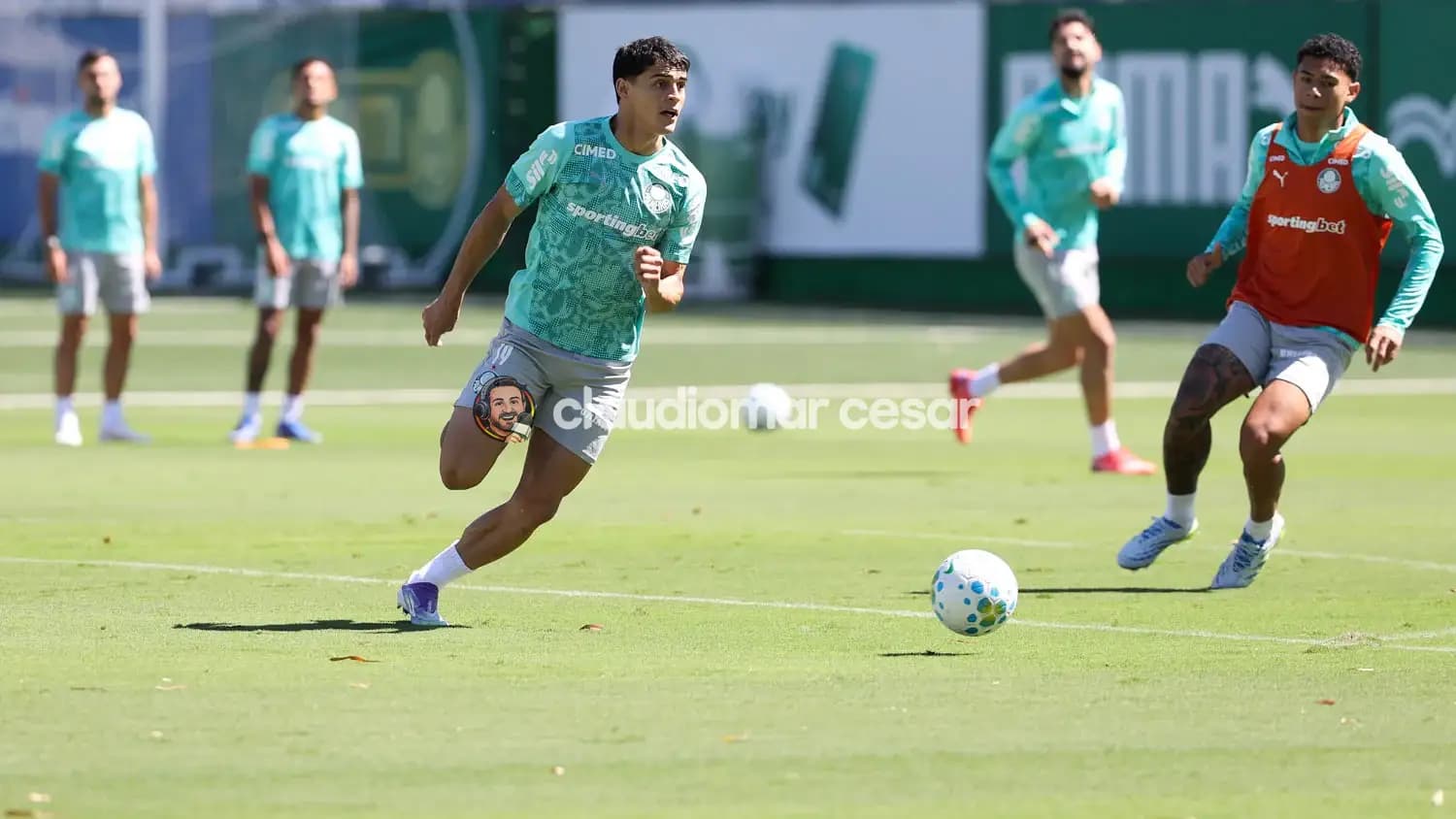 Líder do Brasileiro, Palmeiras realiza treino tático em preparação para Derby