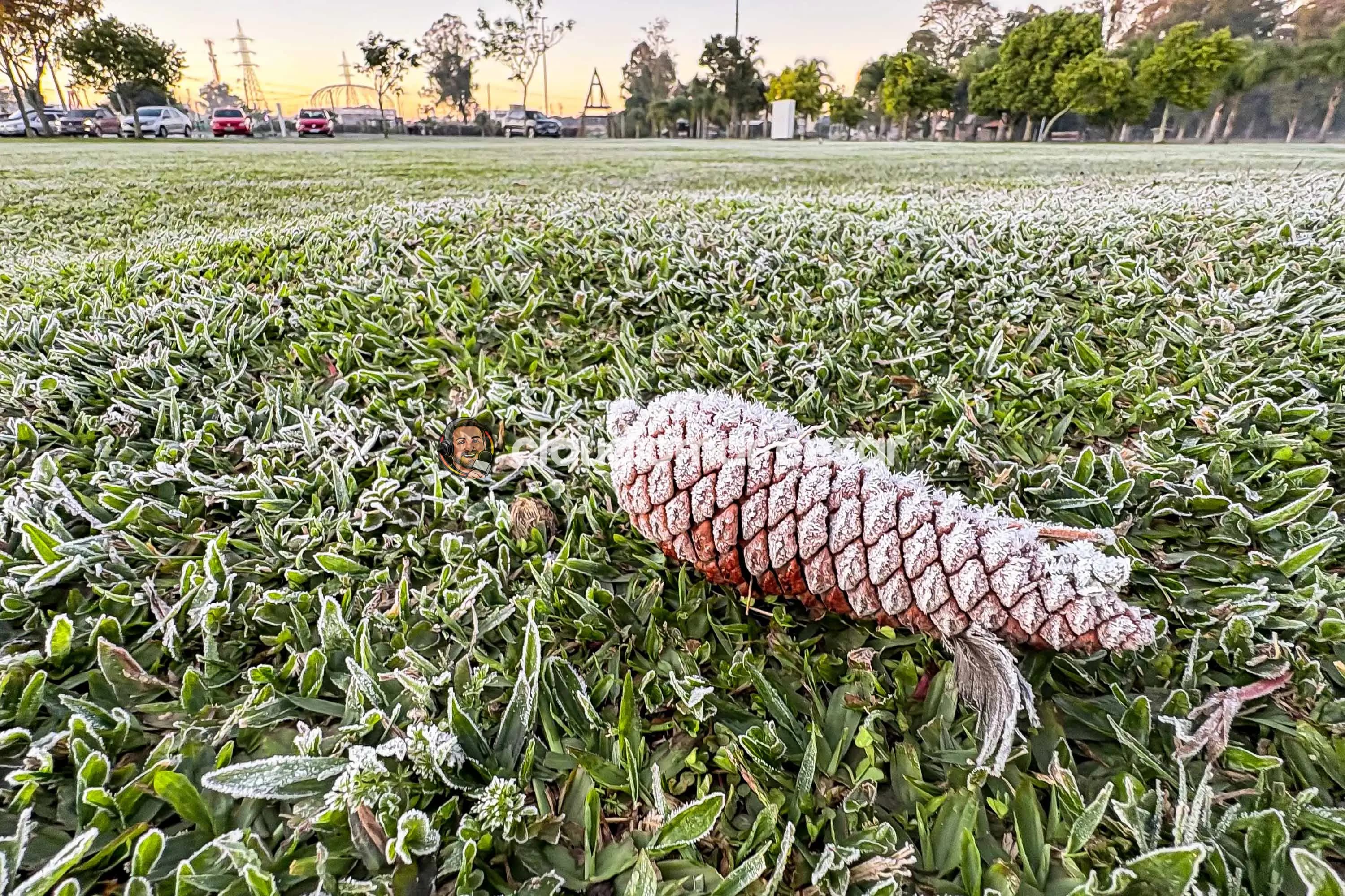 Sinais de inverno: maio terá frentes frias, geada e temperaturas abaixo de 10°C